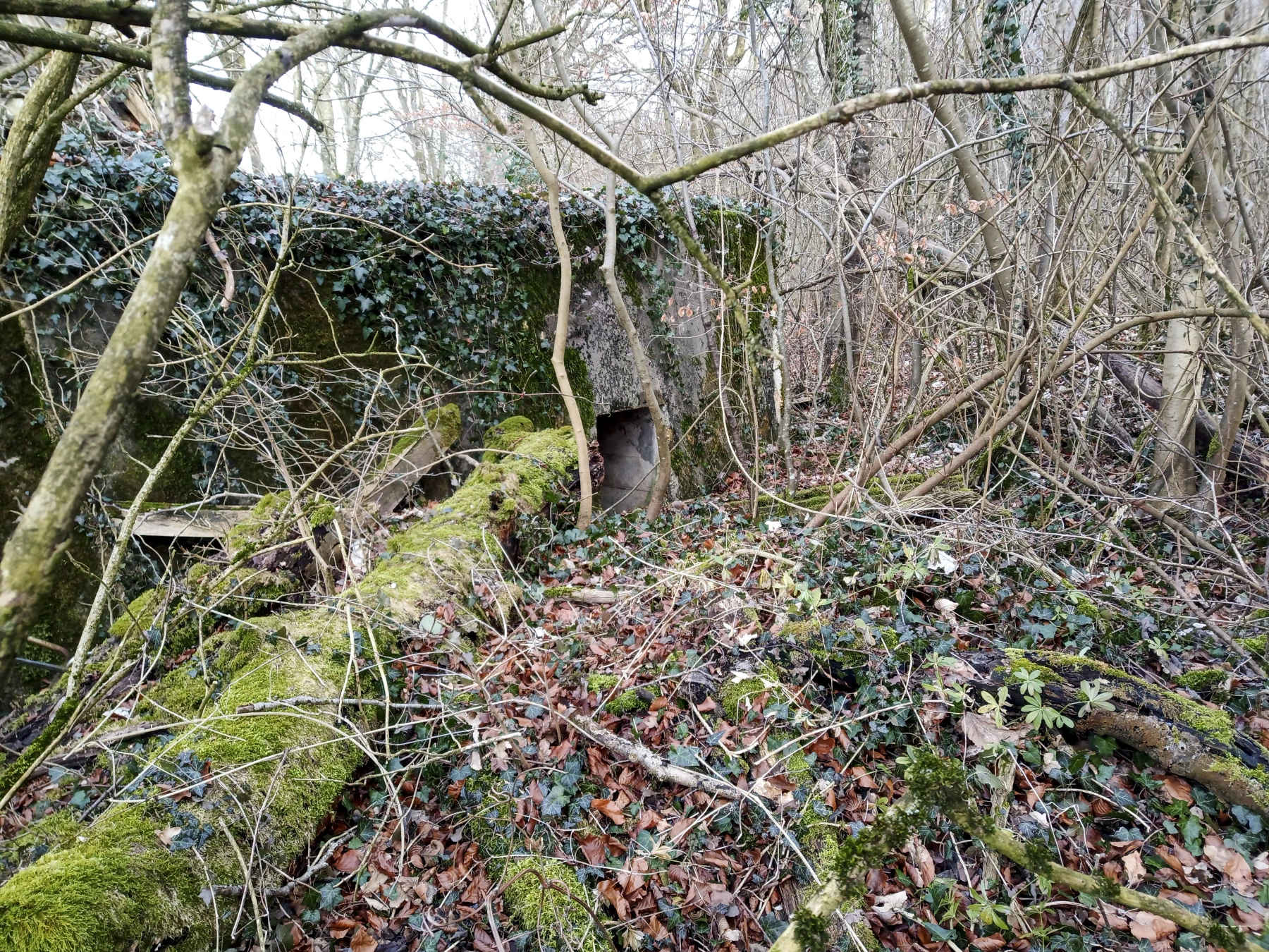 Ligne Maginot - DB342 - (Blockhaus pour arme infanterie) -  - Alexis Locatelli