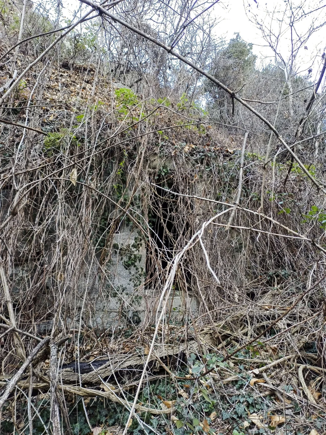 Ligne Maginot - VALABRES - (Abri) - Abri et son créneau, à proximité du blockhaus - GREBOVAL Simon