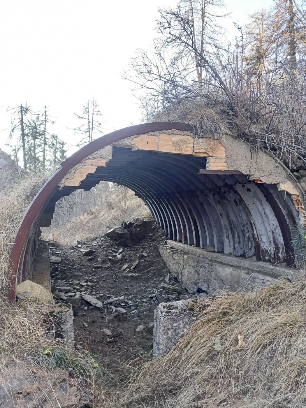 Ligne Maginot - PIC DE LA COLMIANE - (Abri) -  - GREBOVAL Simon