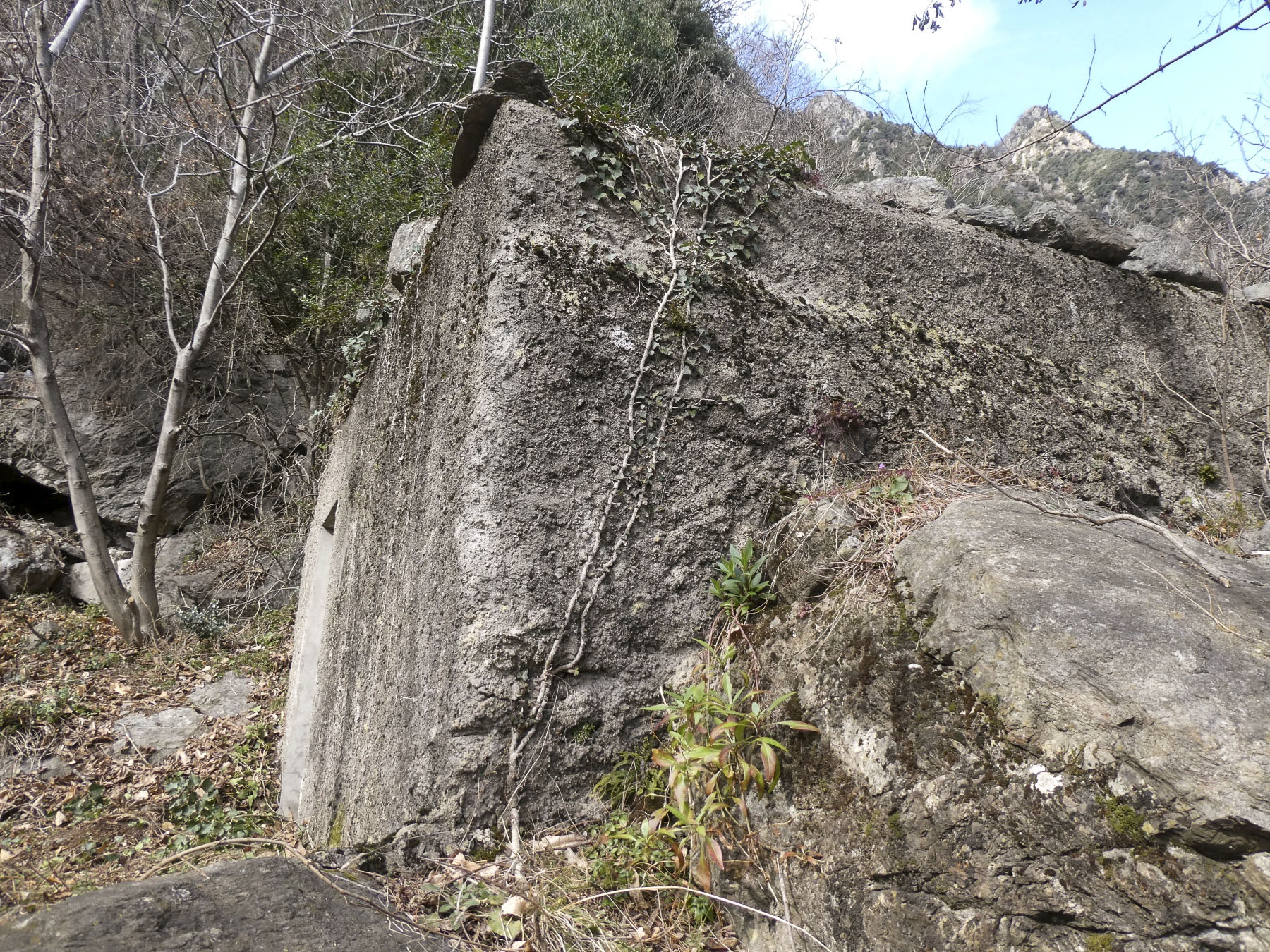 Ligne Maginot - VALABRES - (Blockhaus pour arme infanterie) -  - ELLENA Daniel - CUNY Philippe