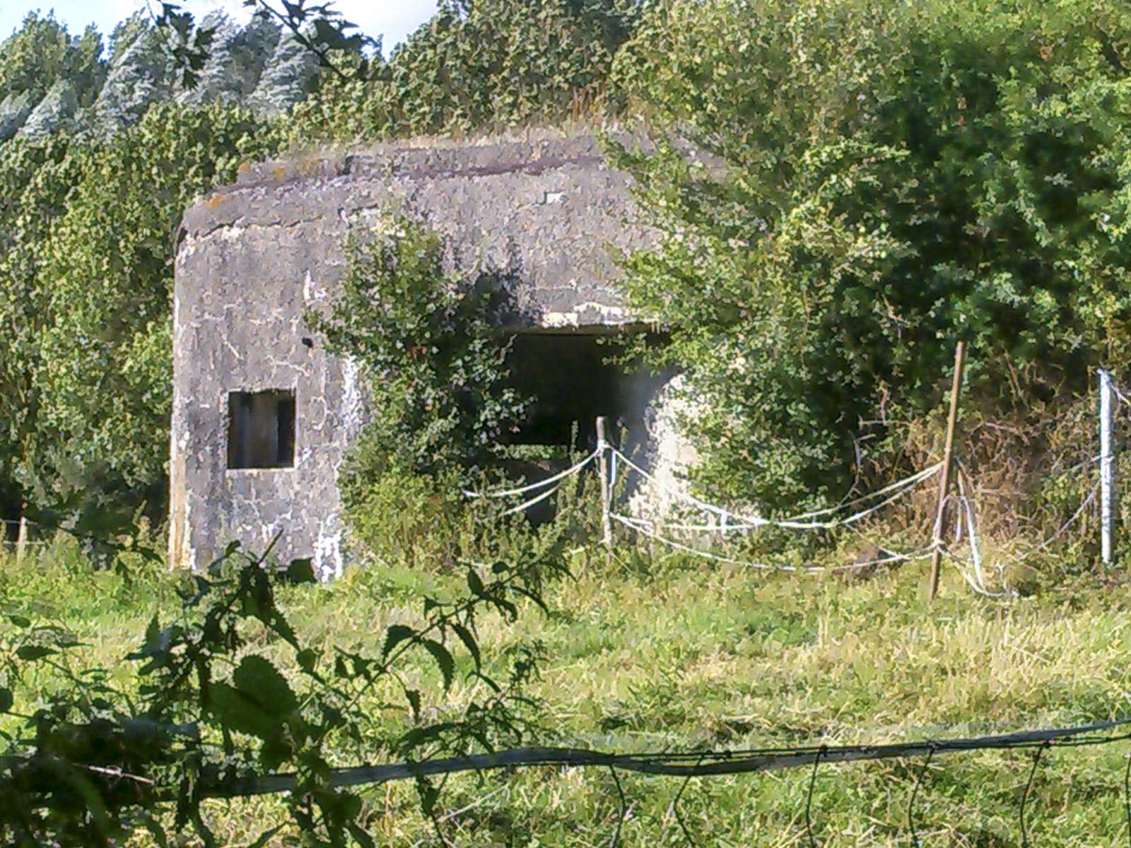 Ligne Maginot - B312 - ANSTAING - (Blockhaus pour canon) - Face sud du blockhaus - Christian MOIGNEZ